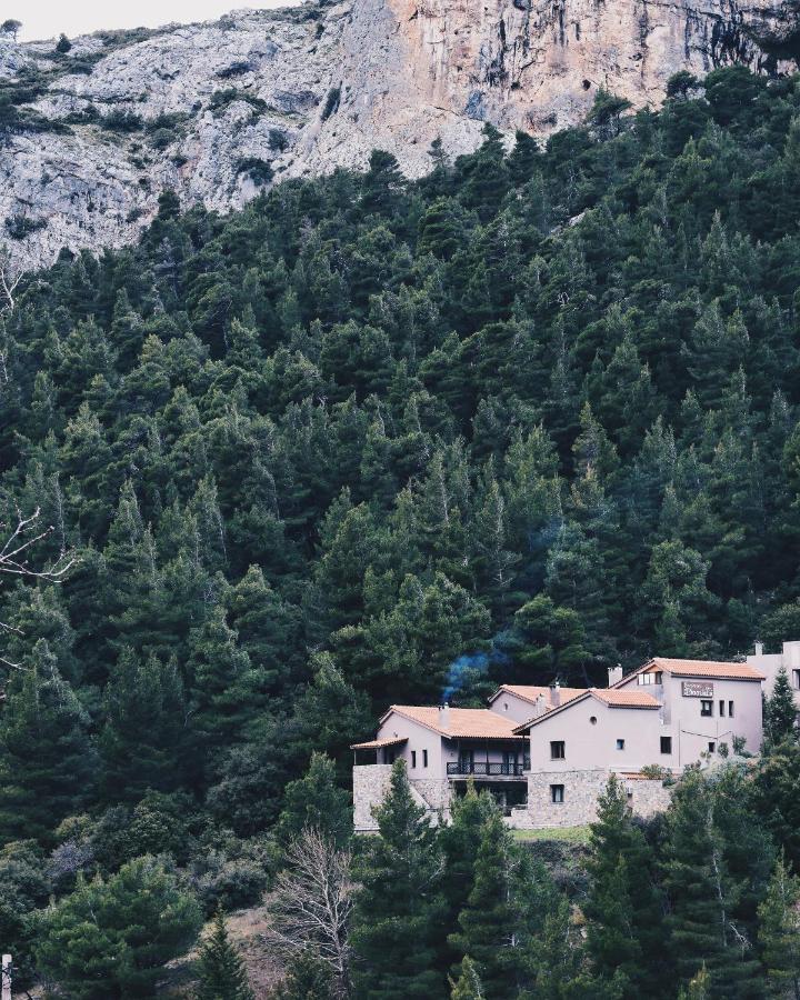 Guesthouse Vasiliki Steni Dhirfios Eksteriør billede